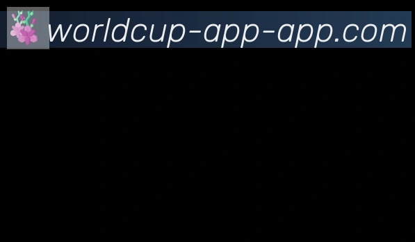 美加墨世界杯APP下载合作伙伴